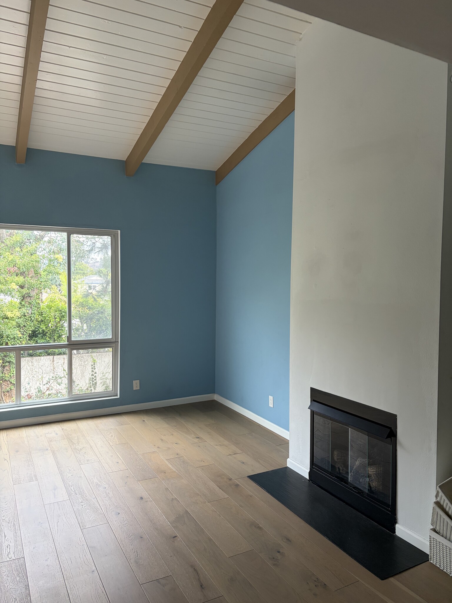 Gas fireplace - 4900 Overland Ave