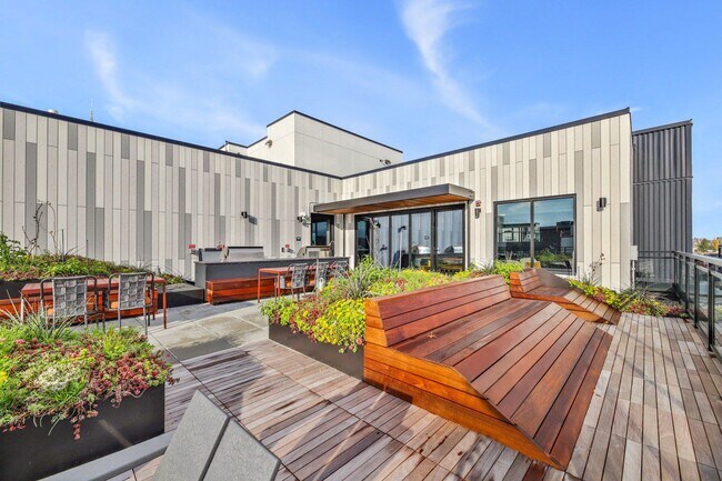 Building Photo - Stellar