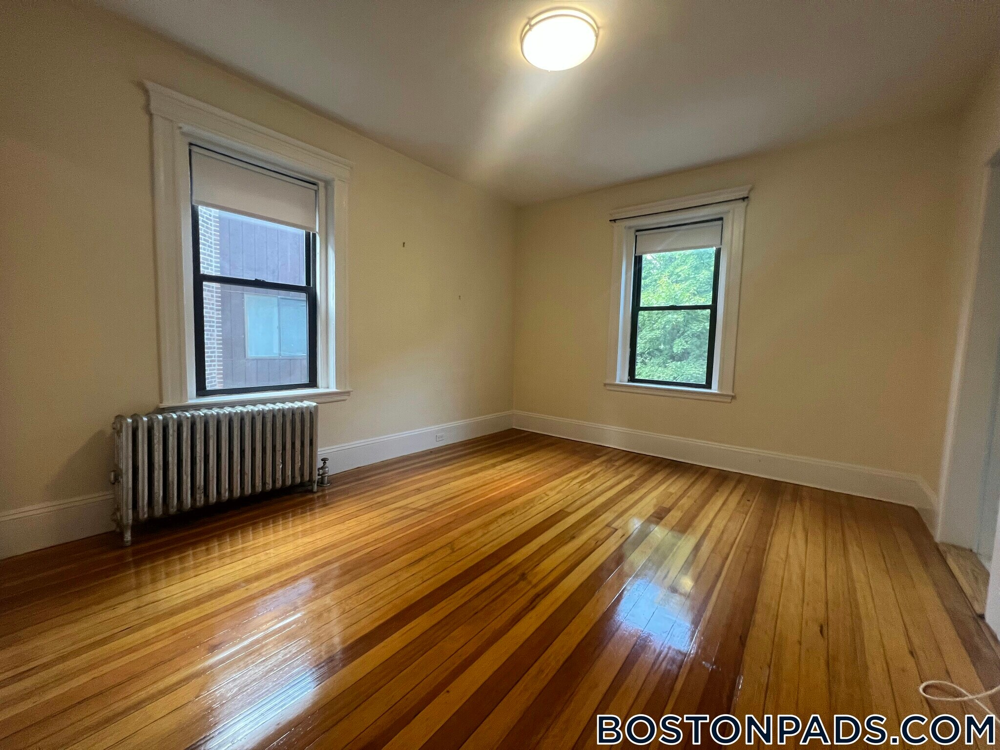 Building Photo - 143 Freeman St