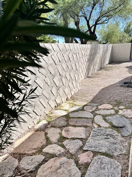 East yard - 5444 N La Casita Dr