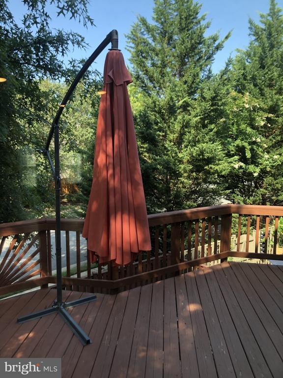 Building Photo - 8110 Meadow Springs Ct