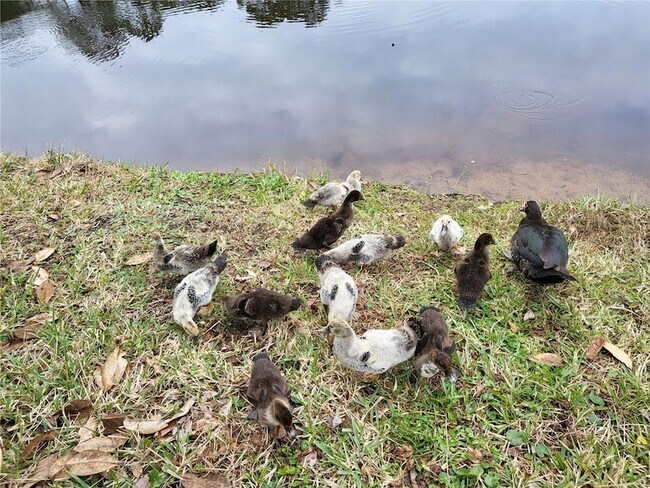 Building Photo - 237 N Hidden Tree Dr