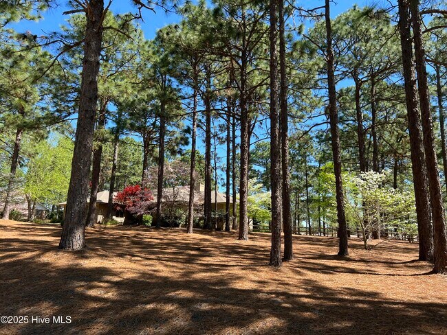 Building Photo - 11 Cardinal Dr
