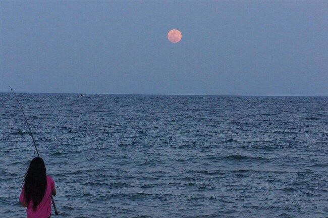 Building Photo - 95 N Birch Rd