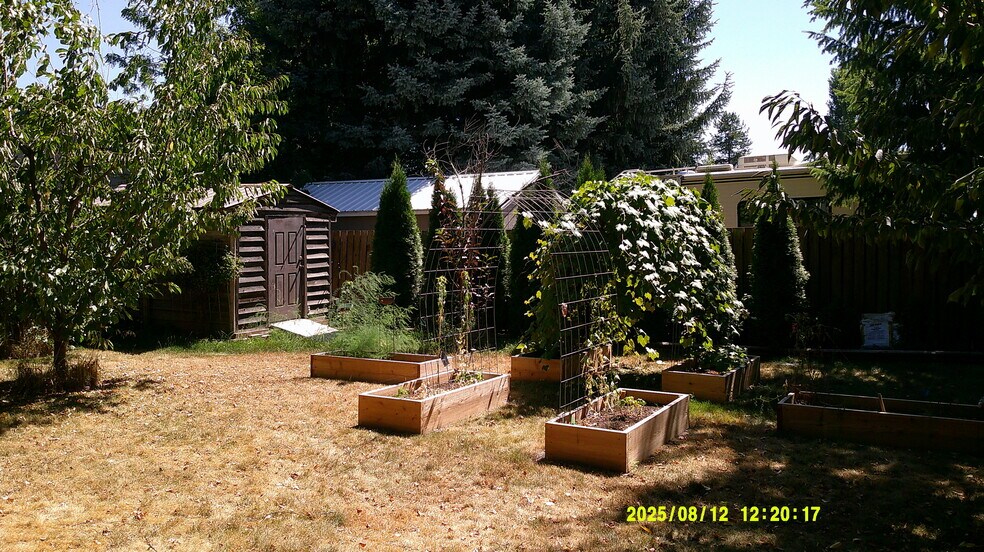 garden area - 1405 Main St