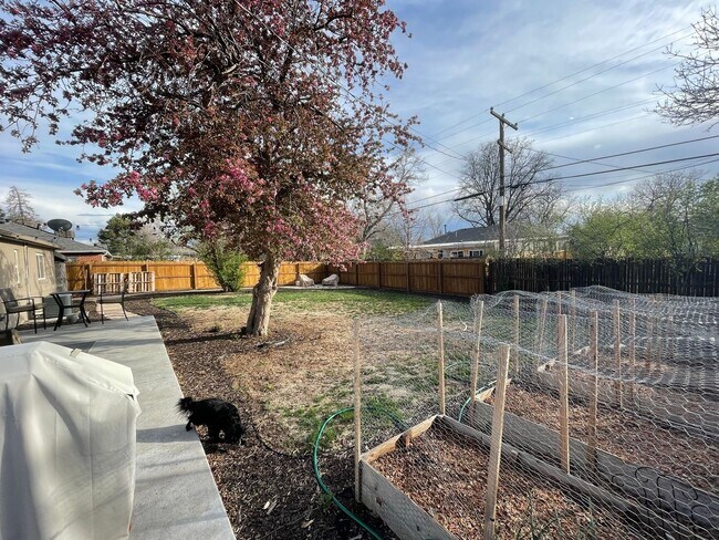 Building Photo - Charming Updated Home with Spacious Yard