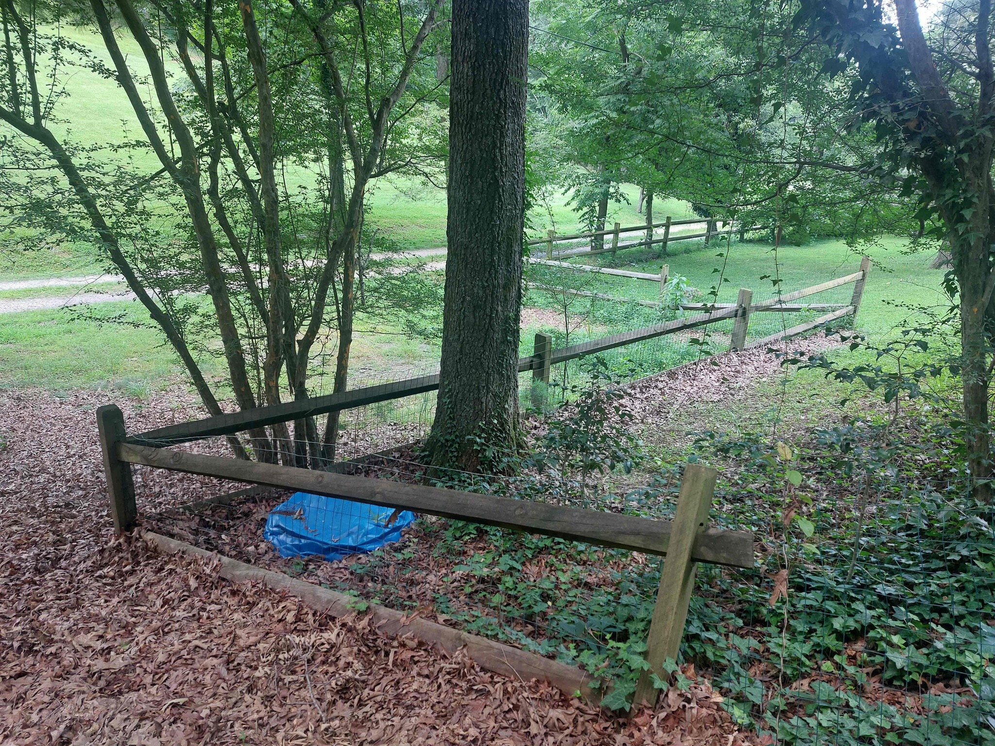 Partially fenced yard - 33 Hoyt Rd