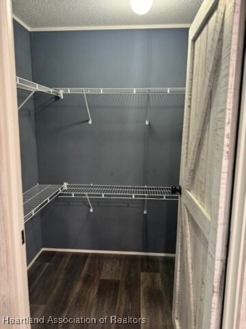 Building Photo - 9127 Morgan Path