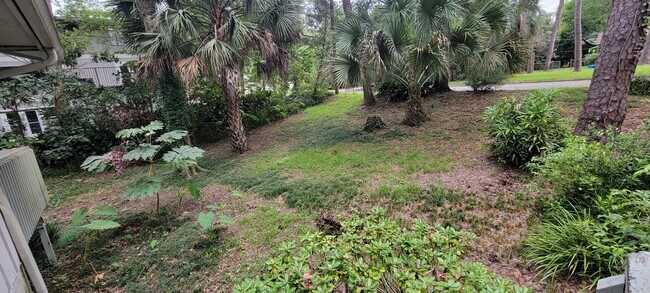 Building Photo - 3 Bedroom/ 2 Bath home in Black Acres(Close to UF)