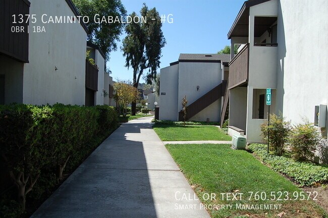 Building Photo - 1375 Caminito Gabaldon