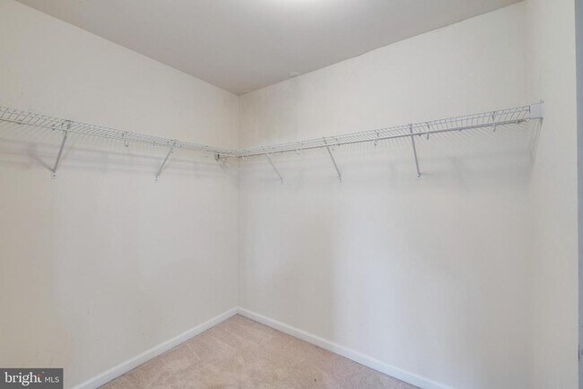 Building Photo - 2939 Sedgemore Pl