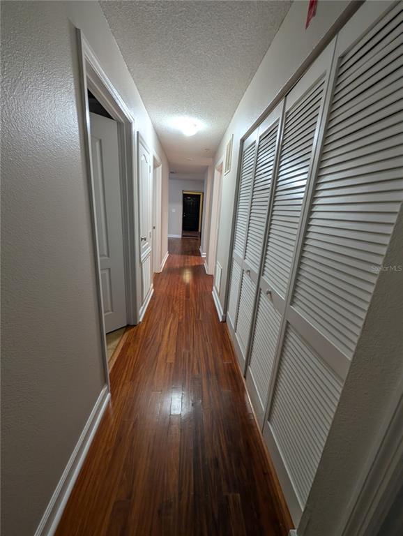 Building Photo - 2041 Dixie Belle Dr