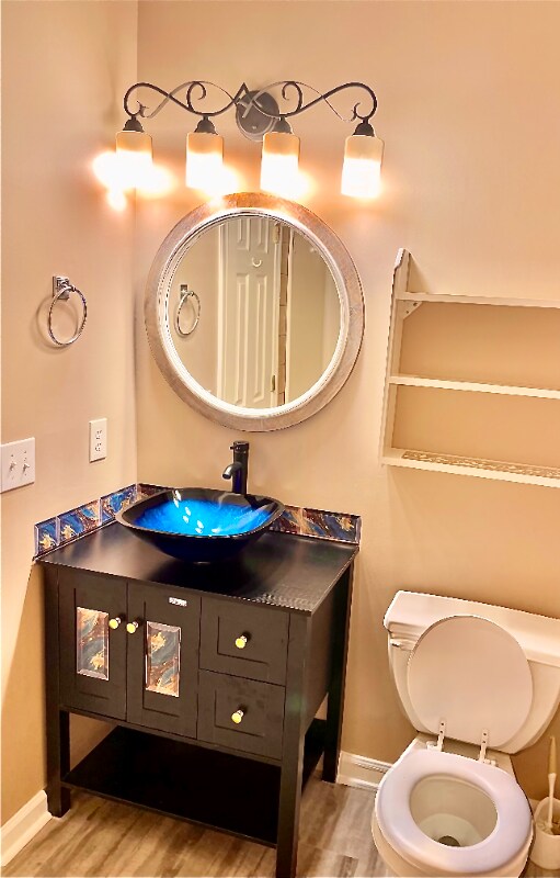 Building Photo - 234 Mill Pond Dr