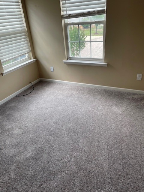 Building Photo - 7312 Brighton Village Dr