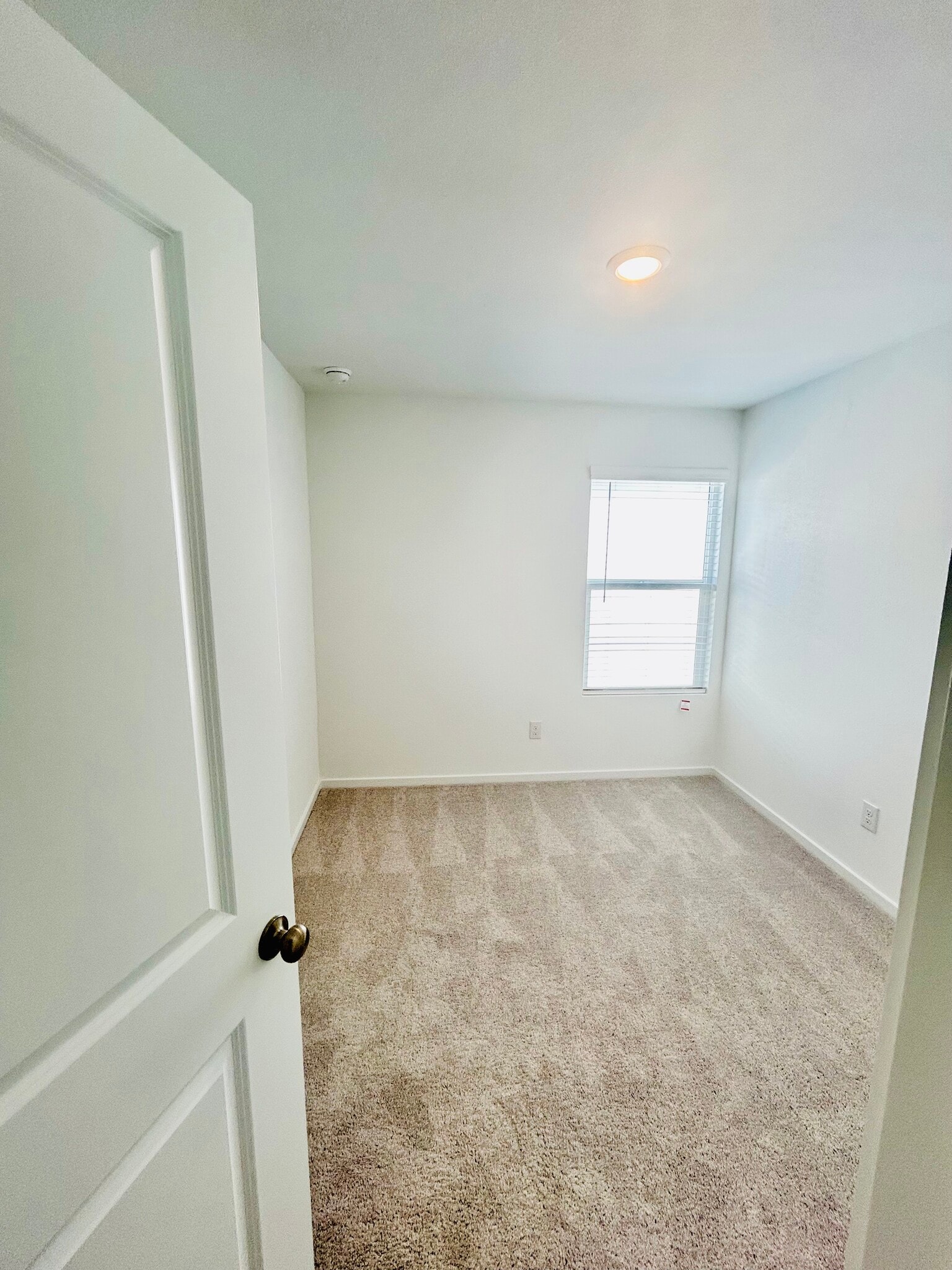 Bedroom 3 - 806 Sandhill Crane Ln