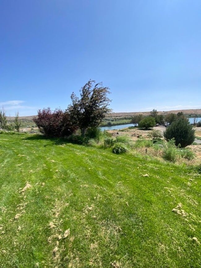 Building Photo - True Western Living On The Snake River