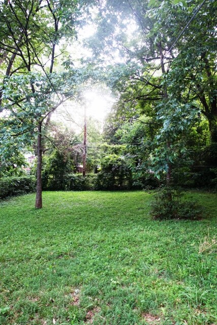 Large, Flat, Grassy Yard - 208 S Summit Ave