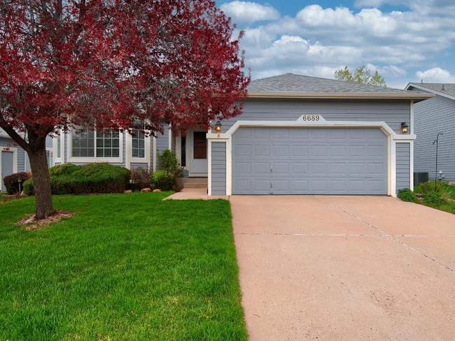 Building Photo - 6689 Showhorse Ct