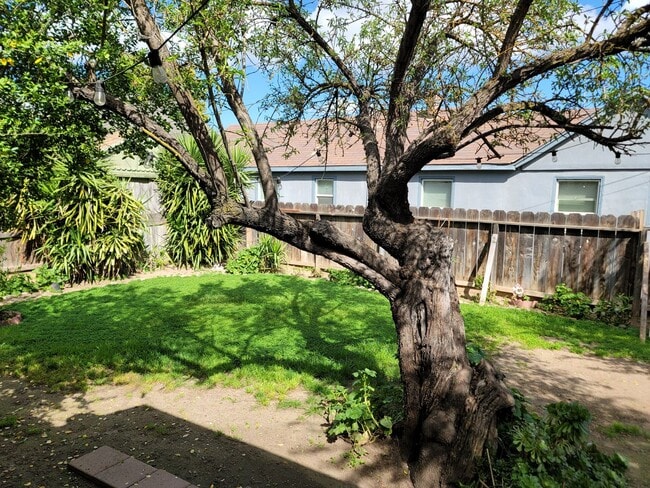 Building Photo - Move in Special see AD