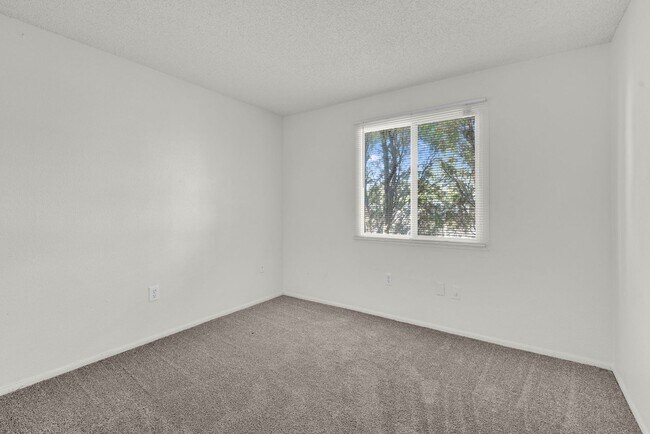 Building Photo - Great 3 bed 2 bath home with a pool!