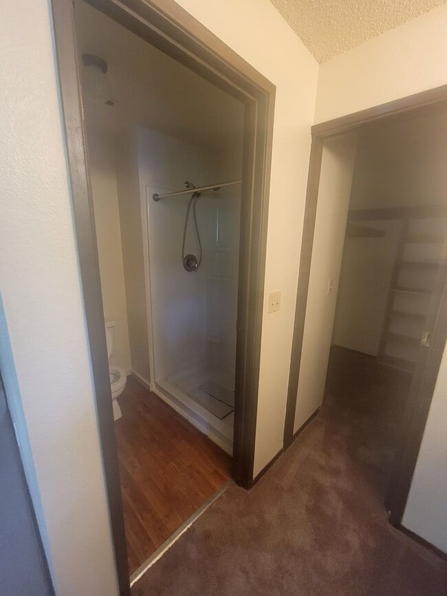 Building Photo - Cute & Cozy Spanaway Rambler