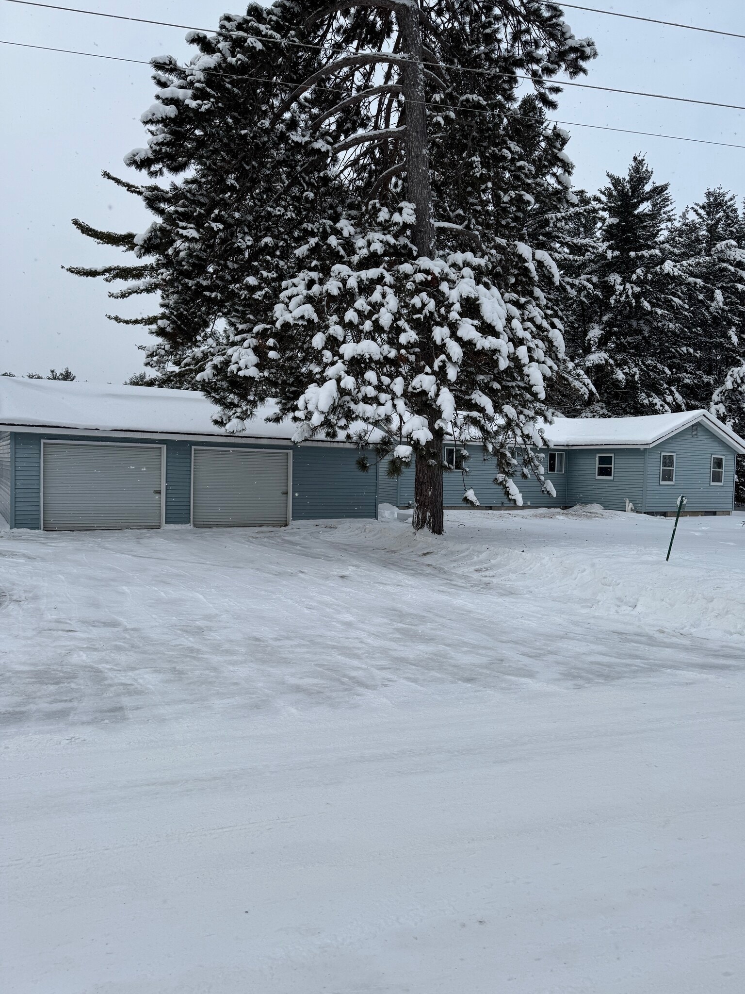 Building Photo - 1041 Bloom Rd