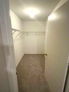 Building Photo - 1309 Silverstone Dr