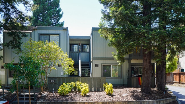 Building Photo - 107 Marin St