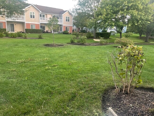 Building Photo - 2891 Belle Ln
