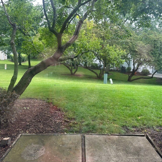 Building Photo - 545 Woodcrest Dr