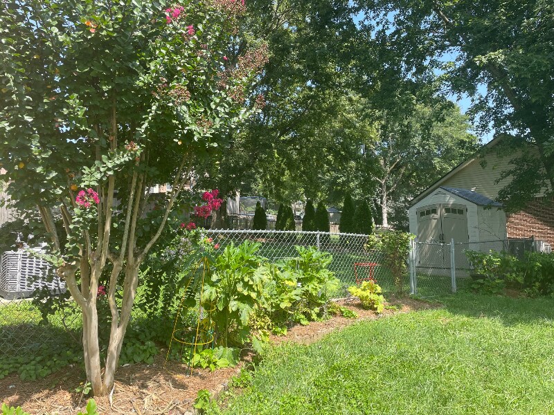 Building Photo - 103 Rocky Dr