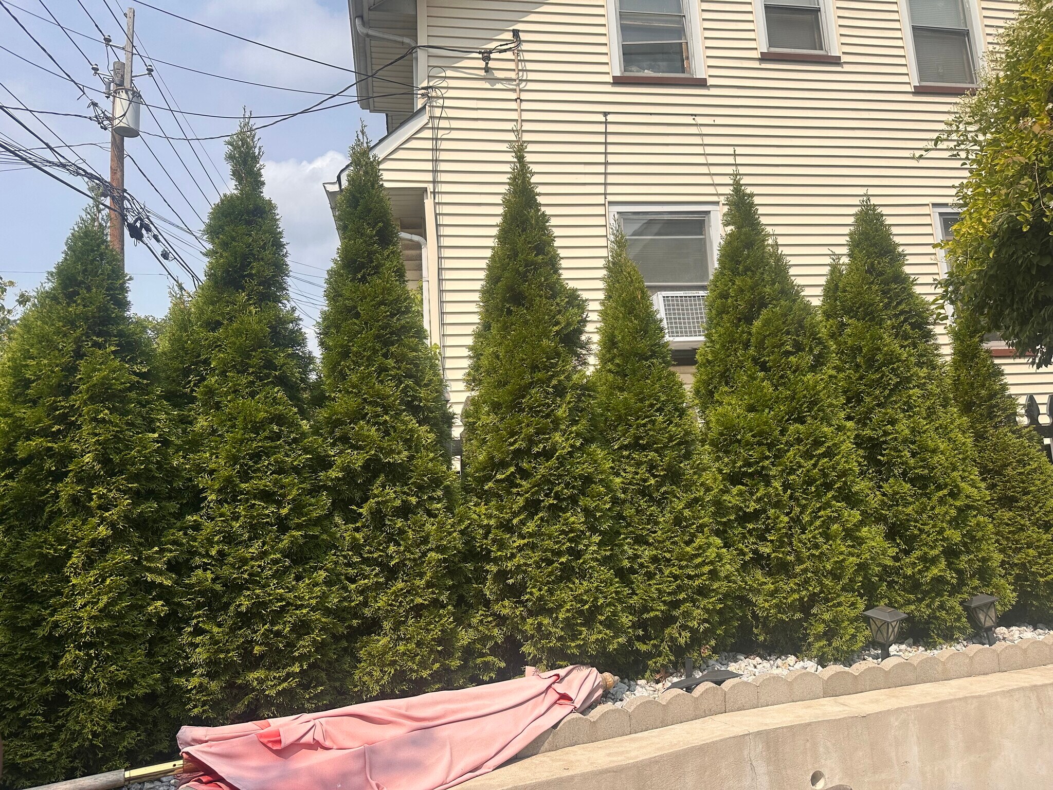 Patio - 21 Elm St