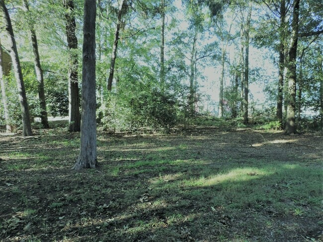 Building Photo - 8807_HUNTER_RIDGE