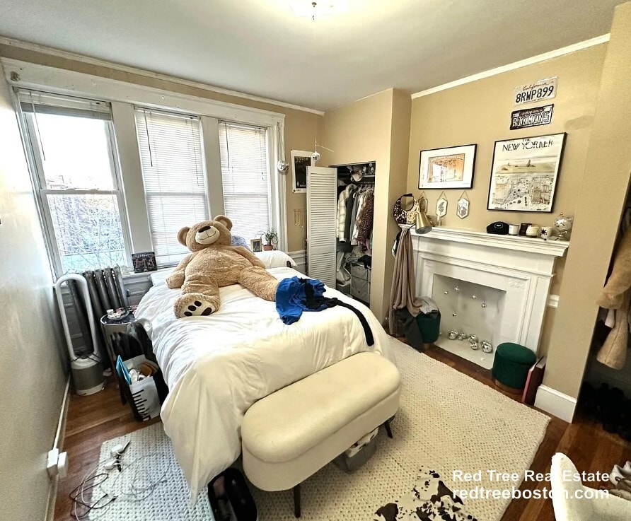 Building Photo - 68 Egmont St