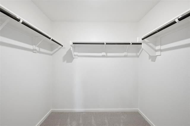 Building Photo - 3609 Oleander Pl