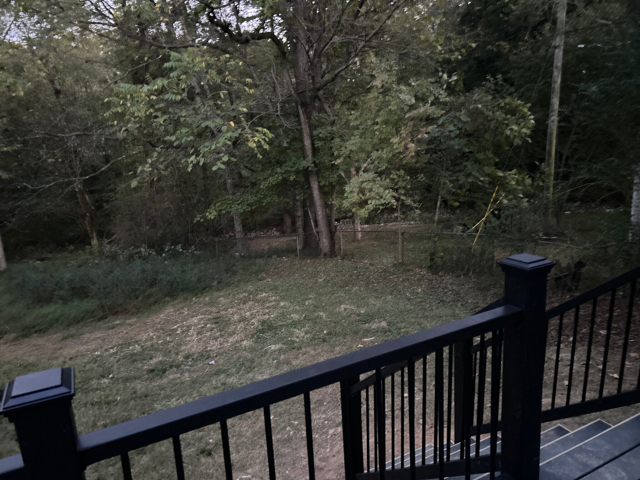 Backyard 2 - 421 High Point Rd