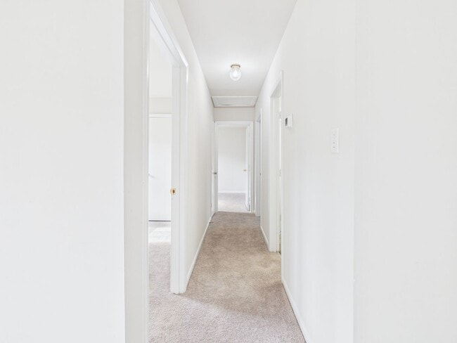 Building Photo - 2336 Sara Ln