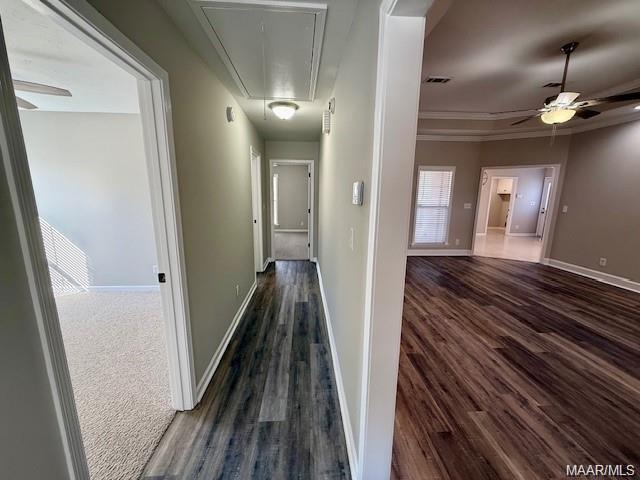 Building Photo - 614 Lorena Ct