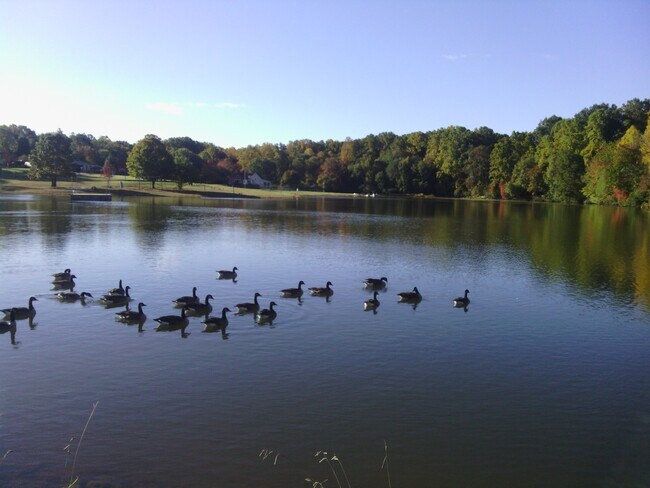 Common Lake Life - 1016 Lakeview Dr