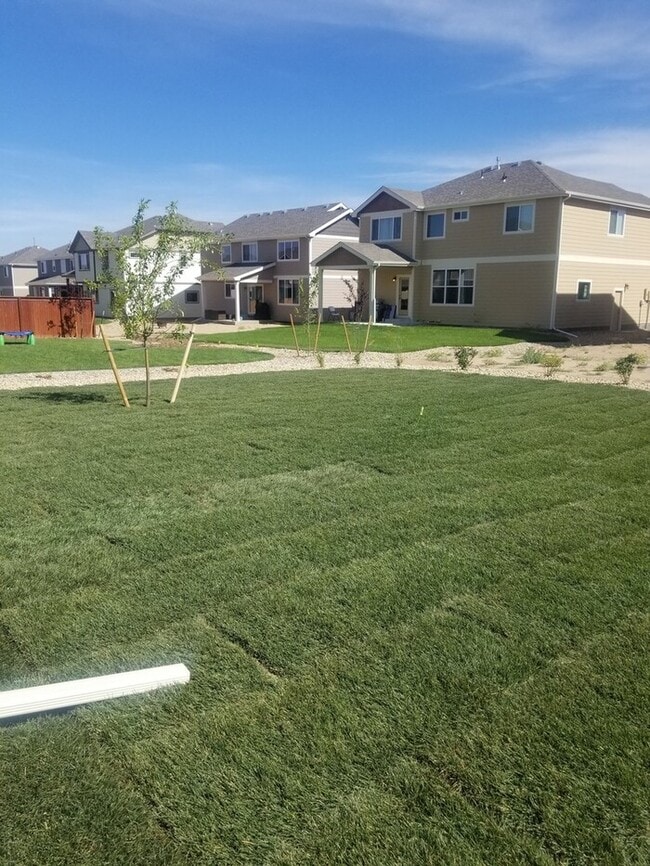 Building Photo - Lovely 2 Story Home in Windsor's Raindance Community! Corner Lot!