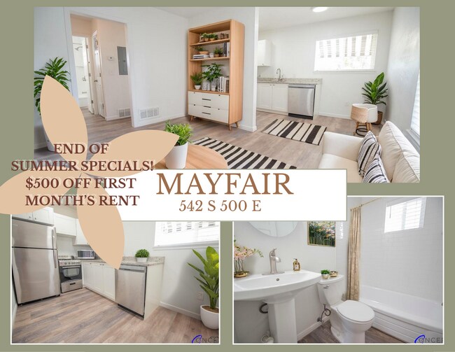 Interior Photo - The Mayfair