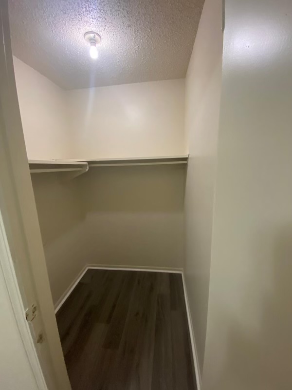 Building Photo - 101 Swan Dr