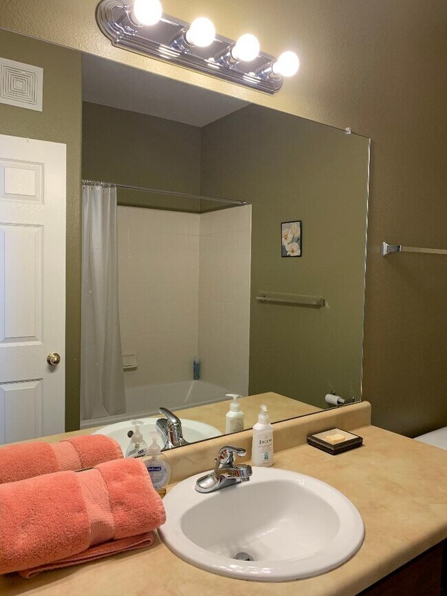 second bath - 2947 W Riverwalk Cir