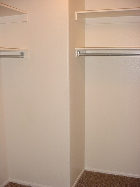 Building Photo - Super clean Rancho El Dorado jewel with new carpet and fresh paint.