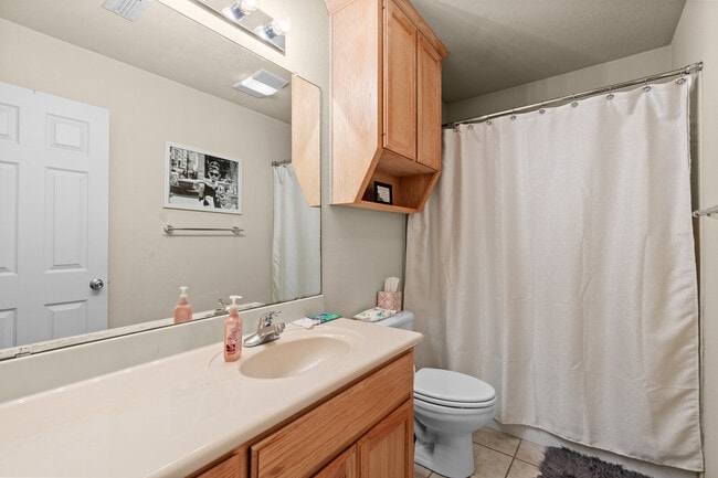 Building Photo - 2936 Palomino Trail