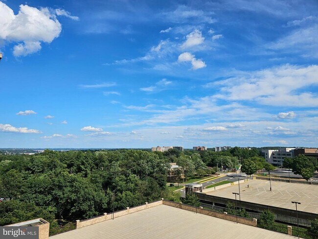 Building Photo - 3709 S George Mason Dr