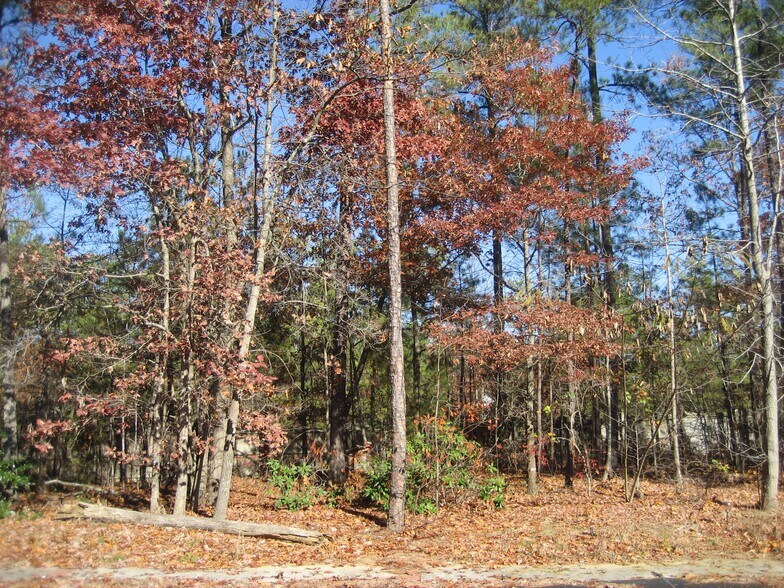 Backyard - 4924 Lippingham Dr