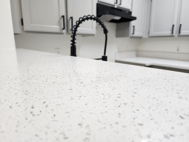 New Quirtz countertops - 929 Dusty Creek St
