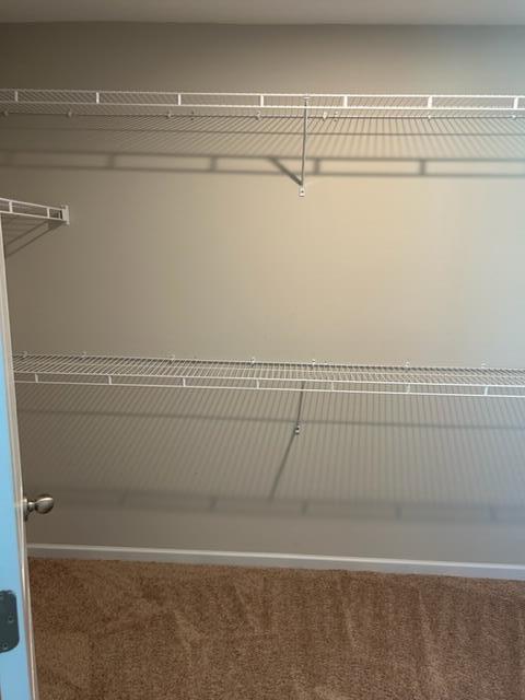 Building Photo - 1773 Trevino Dr