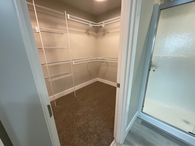 Building Photo - Brand New Beautiful Home